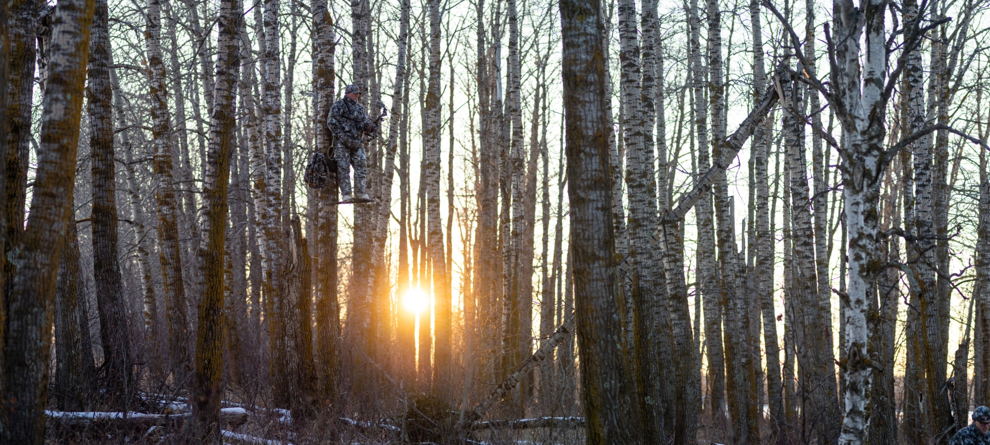 Jim Hole in the Fanatic Collection in Optifade Elevated II hunting whitetail deer in Edmonton | SITKA Gear