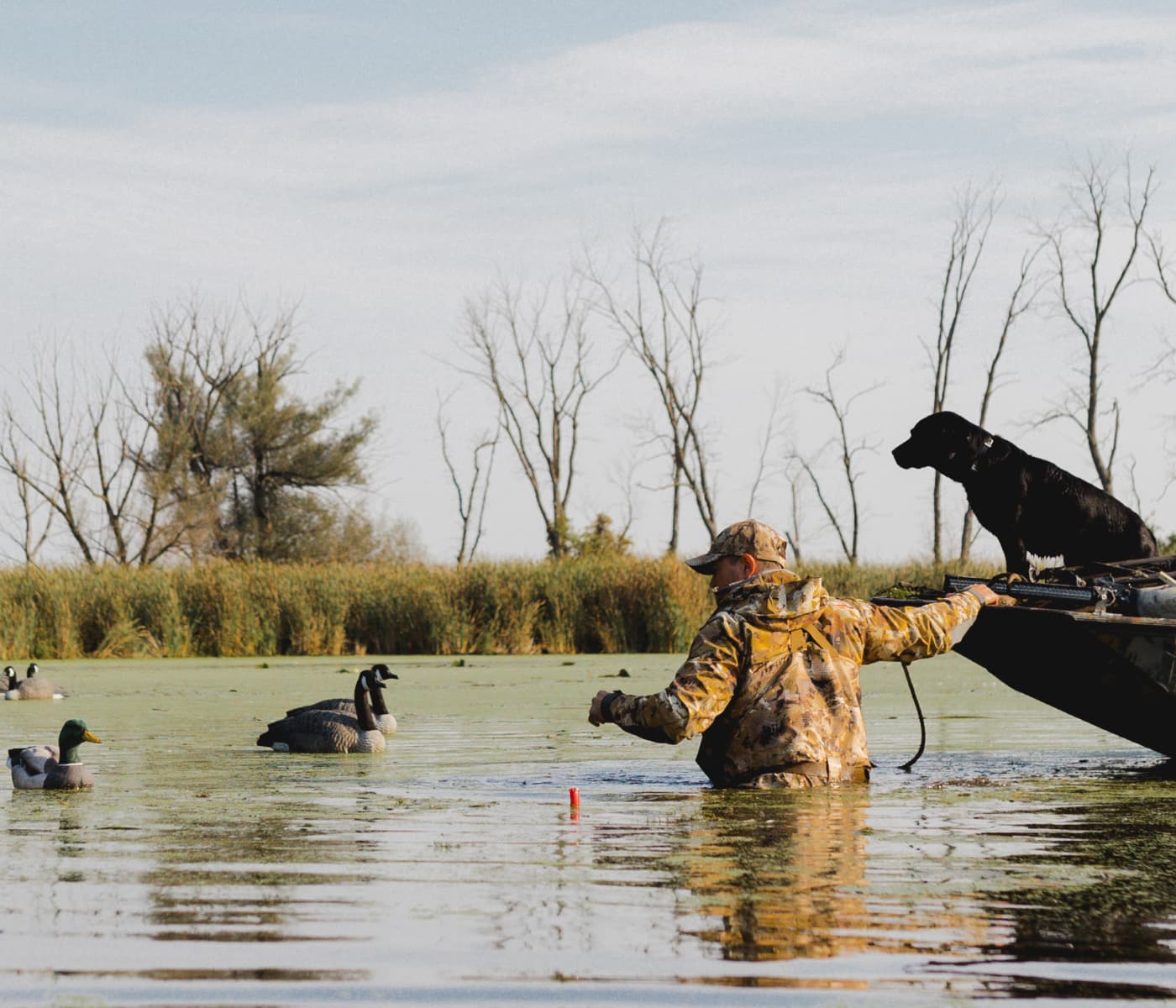 Man wading in water setting a decoy spread | SITKA Gear