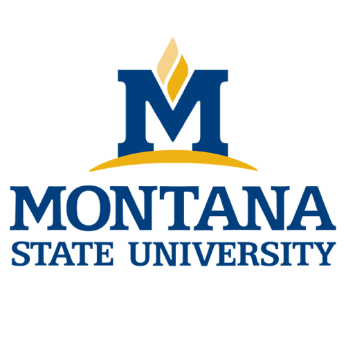 Montana State University logo